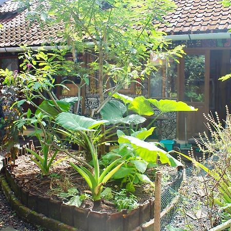 Farmer'S Yard Hostel Canggu Esterno foto