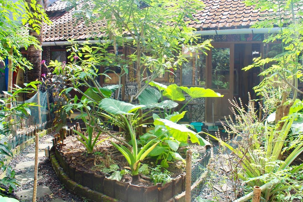 Farmer'S Yard Hostel Canggu Esterno foto